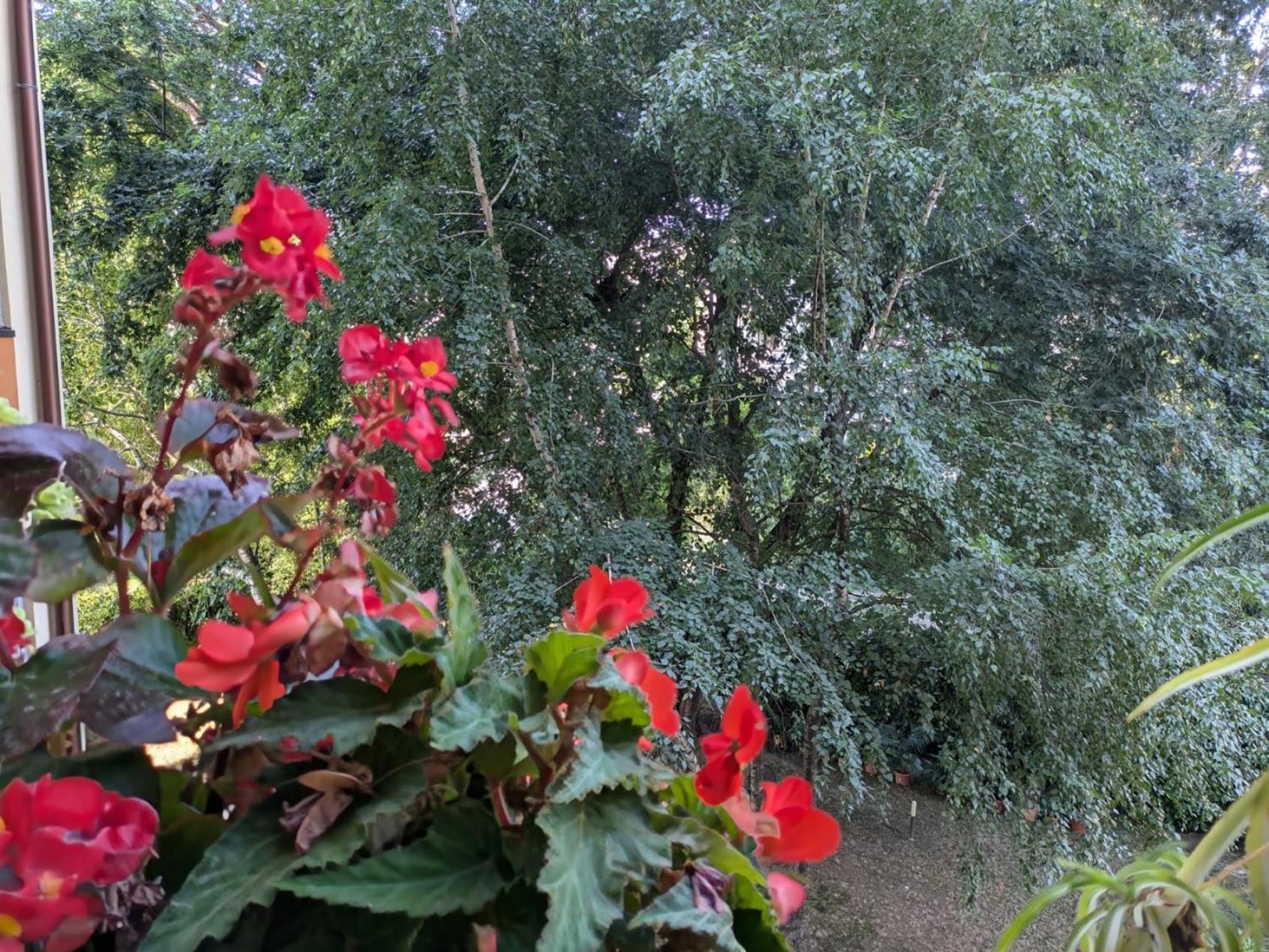 Viale Puccini - Free Gated Parking - 3 Minutes From Center Apartment Lucca