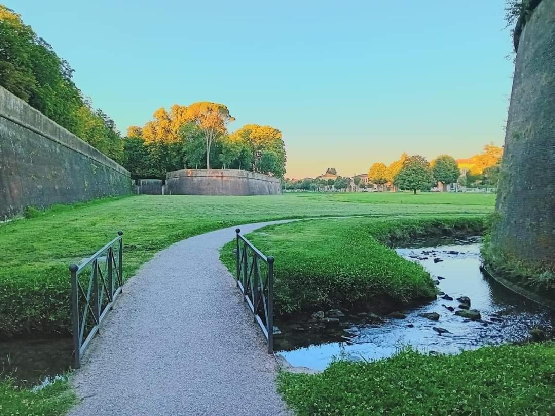Viale Puccini - Free Gated Parking - 3 Minutes From Center Lucca
